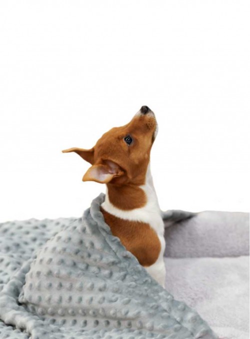 Hunde-sovepose til lille hund