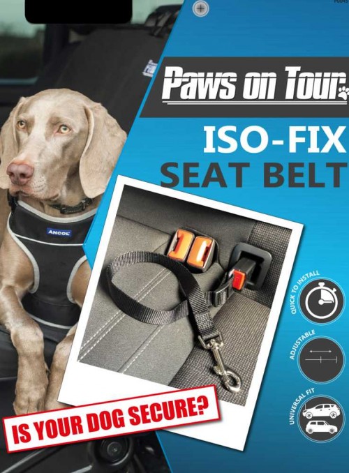 ISOFIX hunde-sikkerhedssele til bilen.