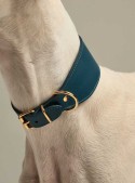 Halsbånd til mynder eller andre hunde med lang hals, blå