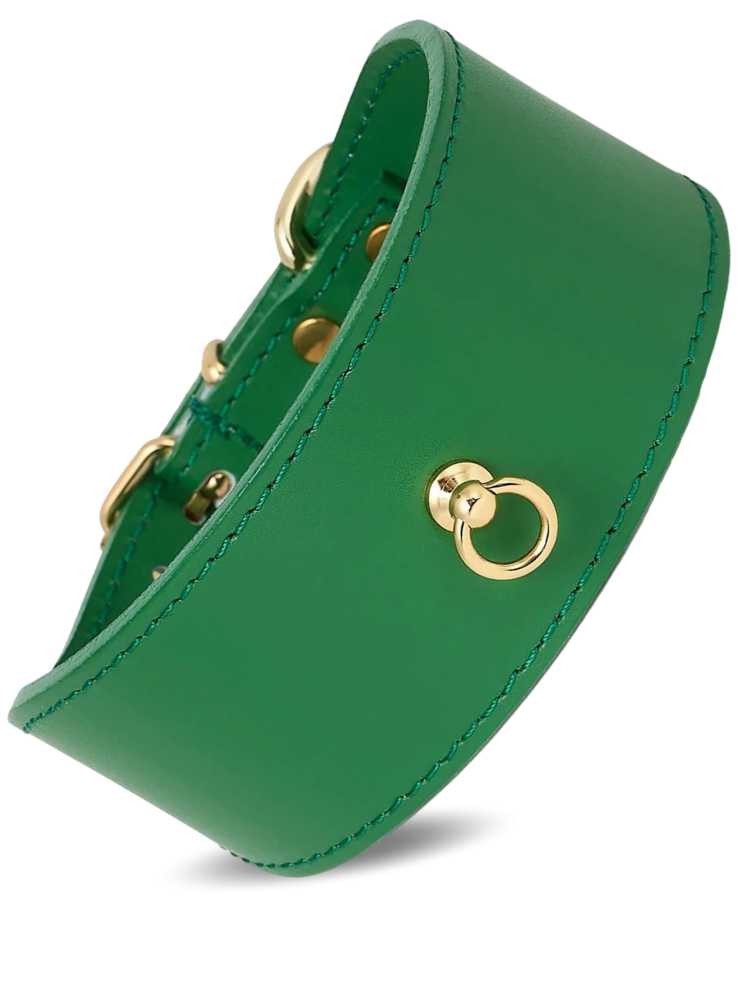 Halsbånd til mynder eller andre hunde med lang hals, grøn